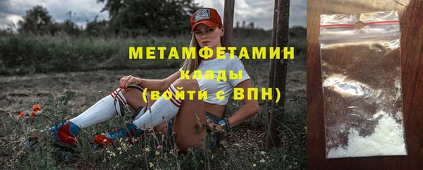 шишки Губаха
